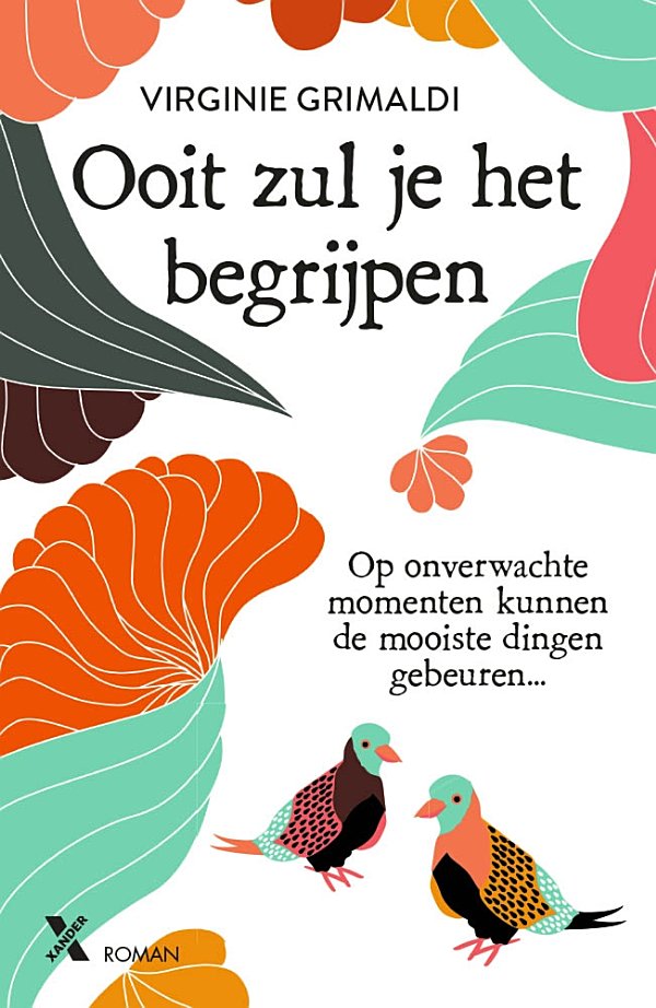 Ooit zul je het begrijpen