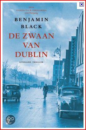 De zwaan van Dublin