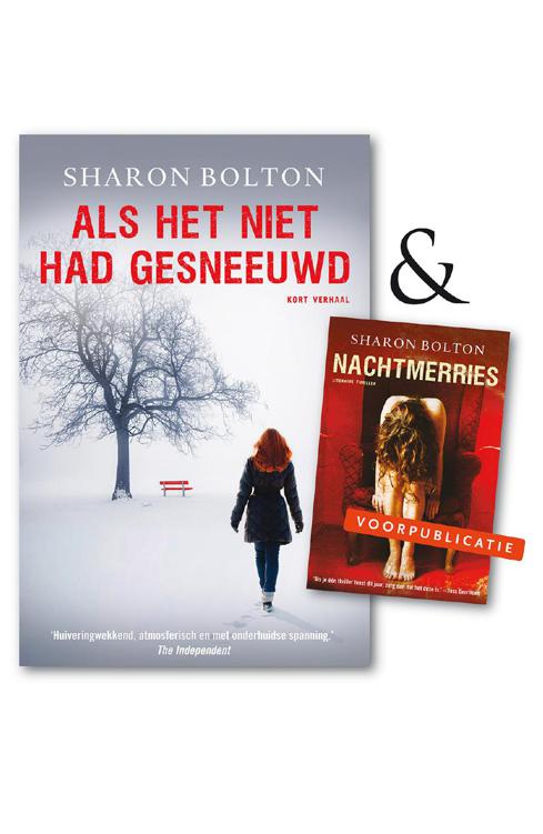 Als het niet had gesneeuwd