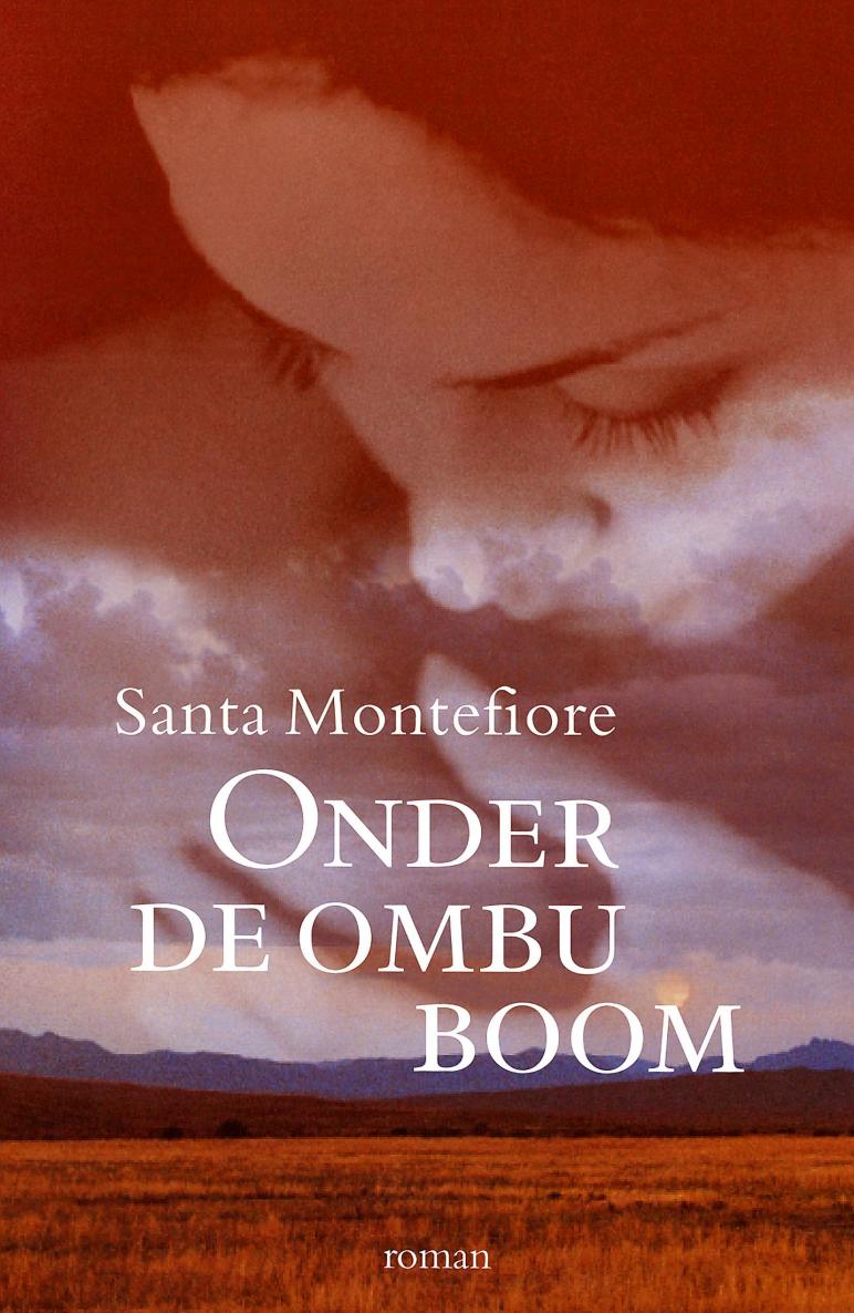 Onder de ombu-boom