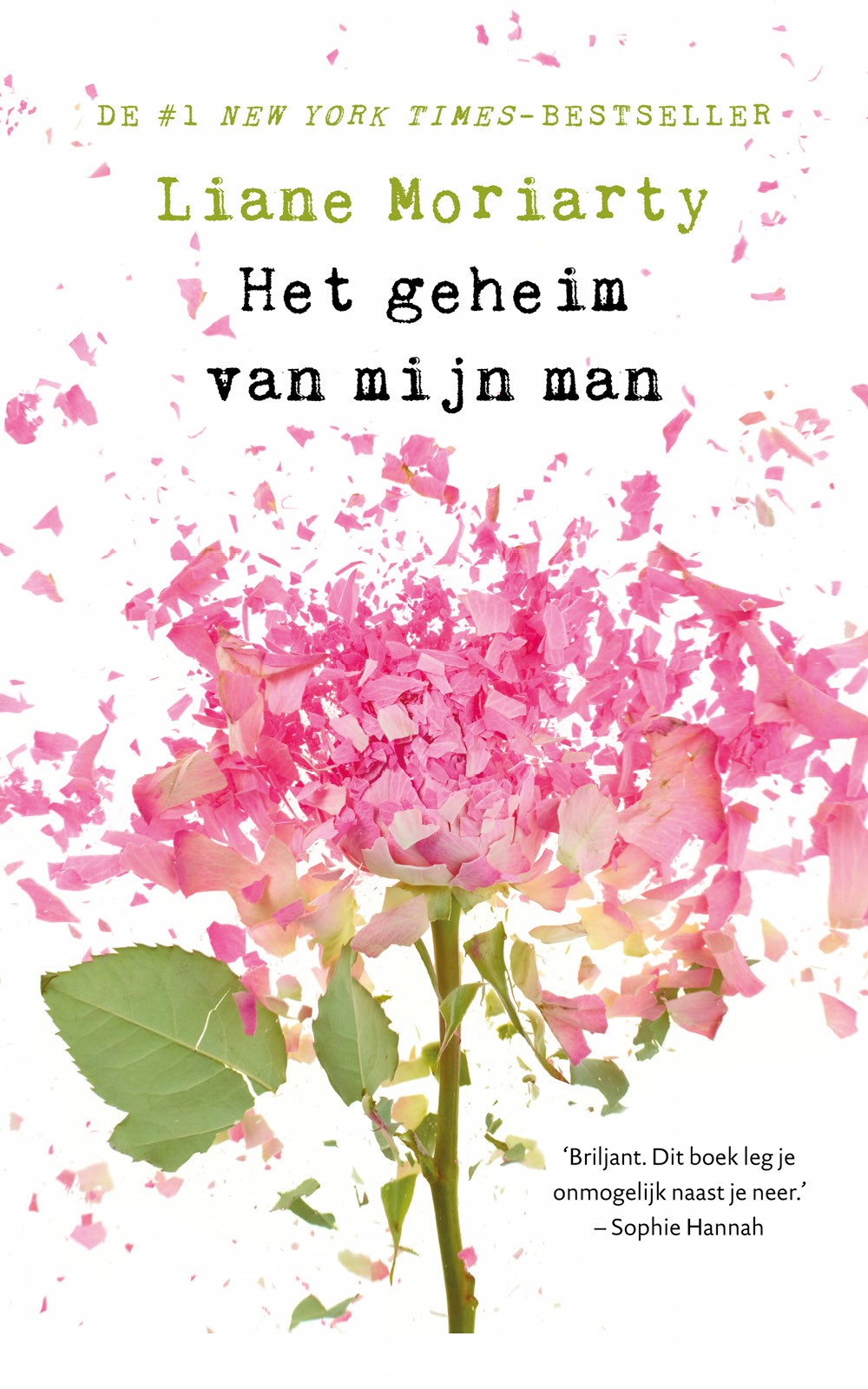 Het geheim van mijn man