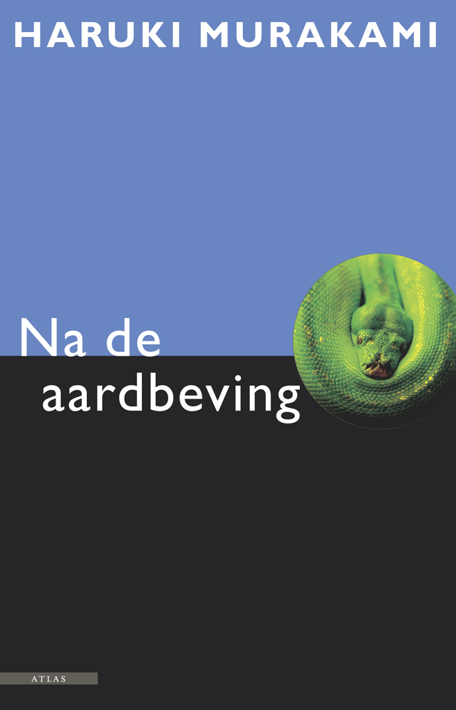 Na de aardbeving