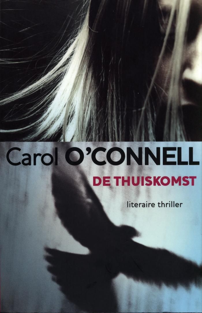 De thuiskomst