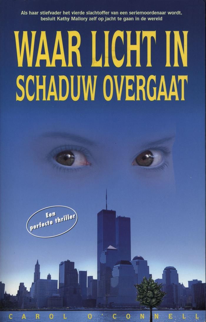 Waar licht in schaduw overgaat