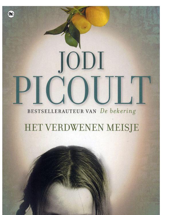 Het verdwenen meisje