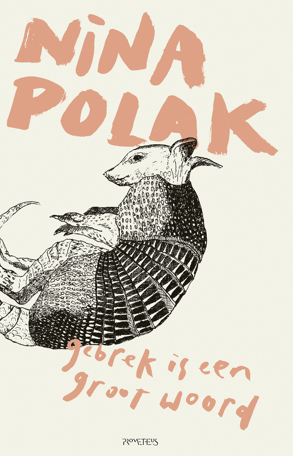 Gebrek is een groot woord