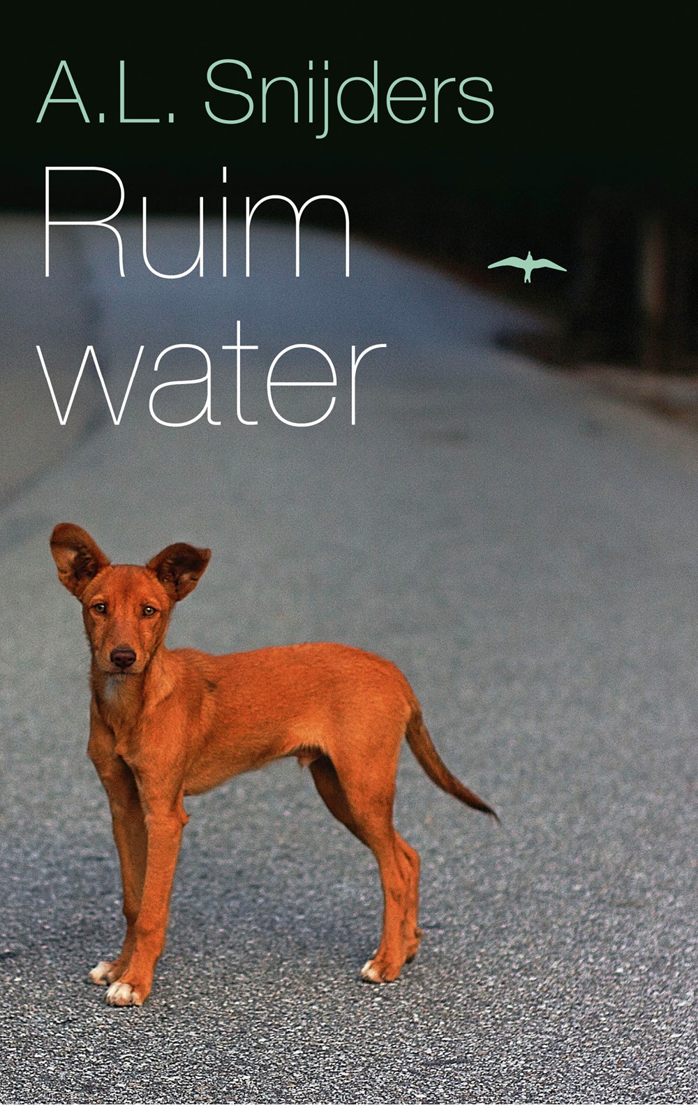 Ruim water