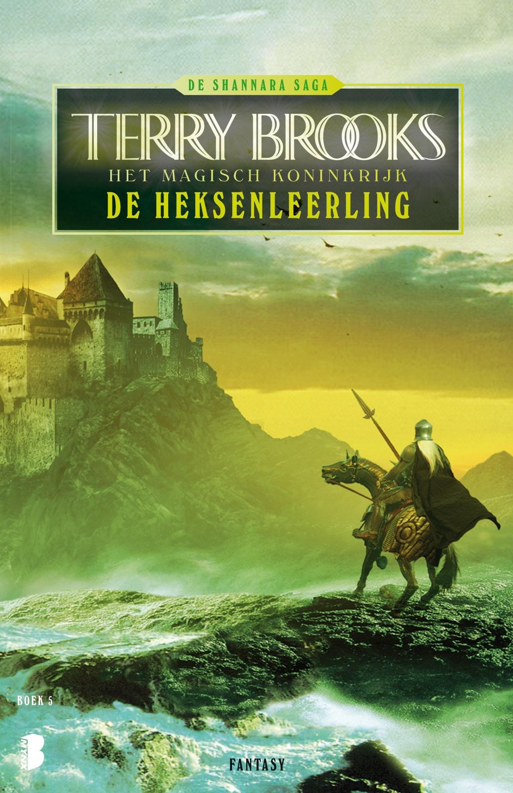 Magisch koninkrijk 5 - De heksenleerling