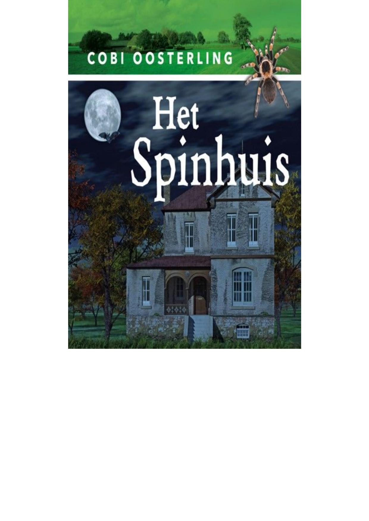 Het spinhuis
