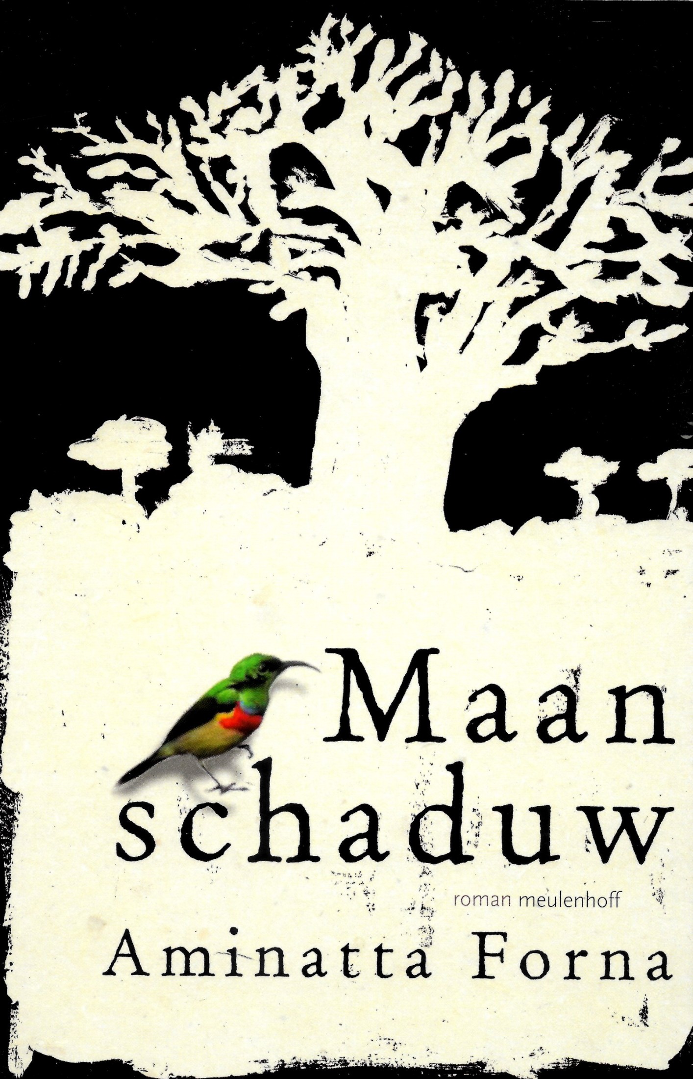 Maanschaduw