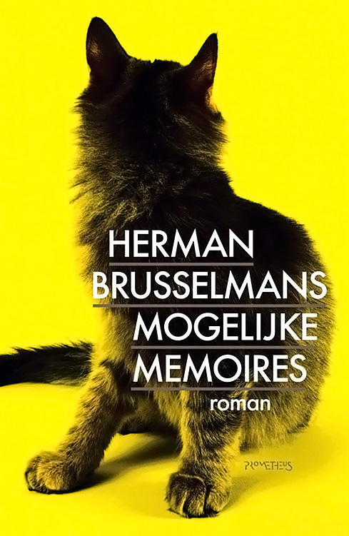 Mogelijke memoires