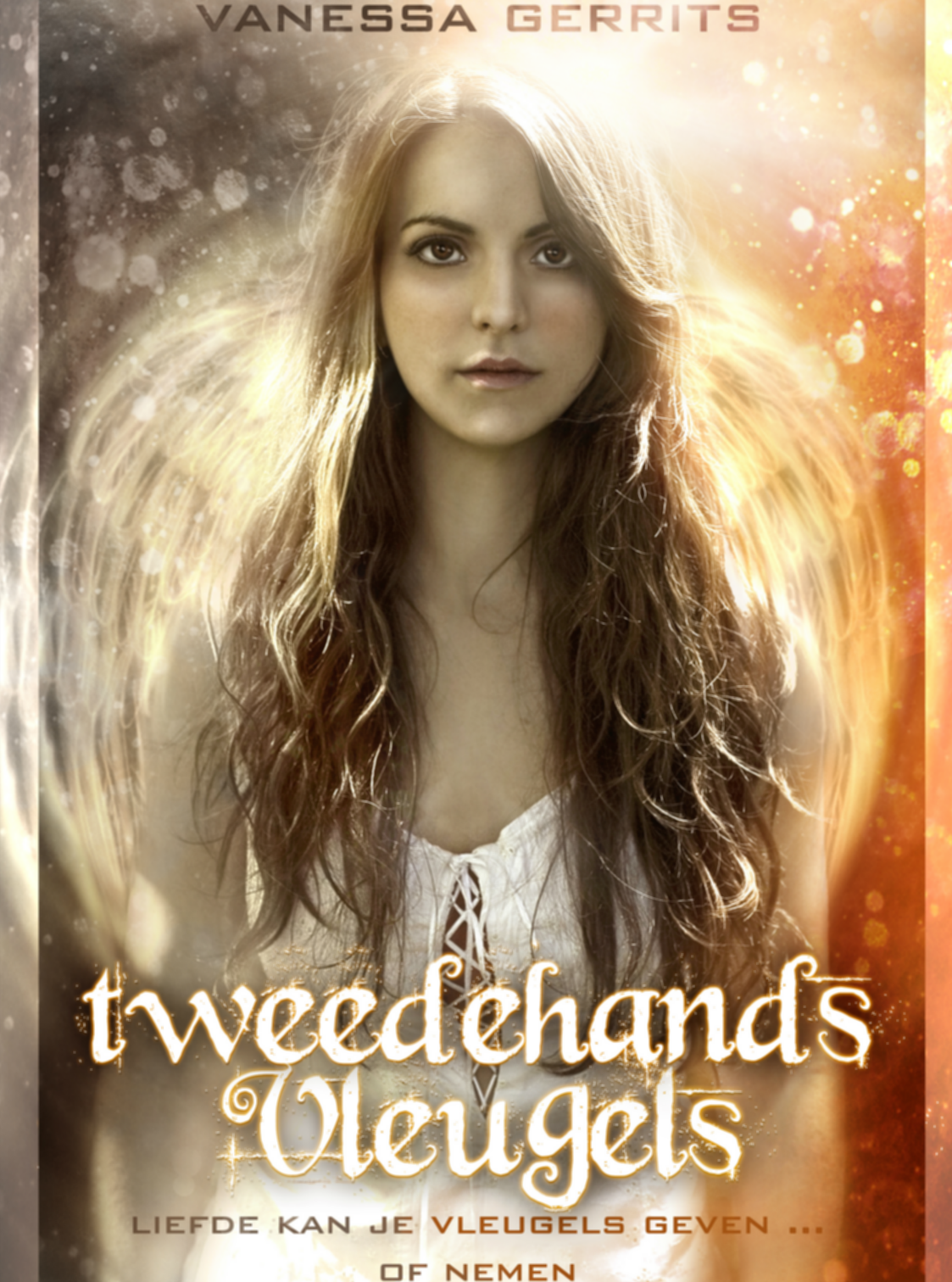 Tweedehands vleugels