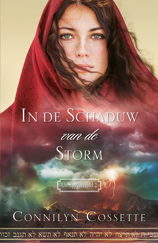 In de schaduw van de storm
