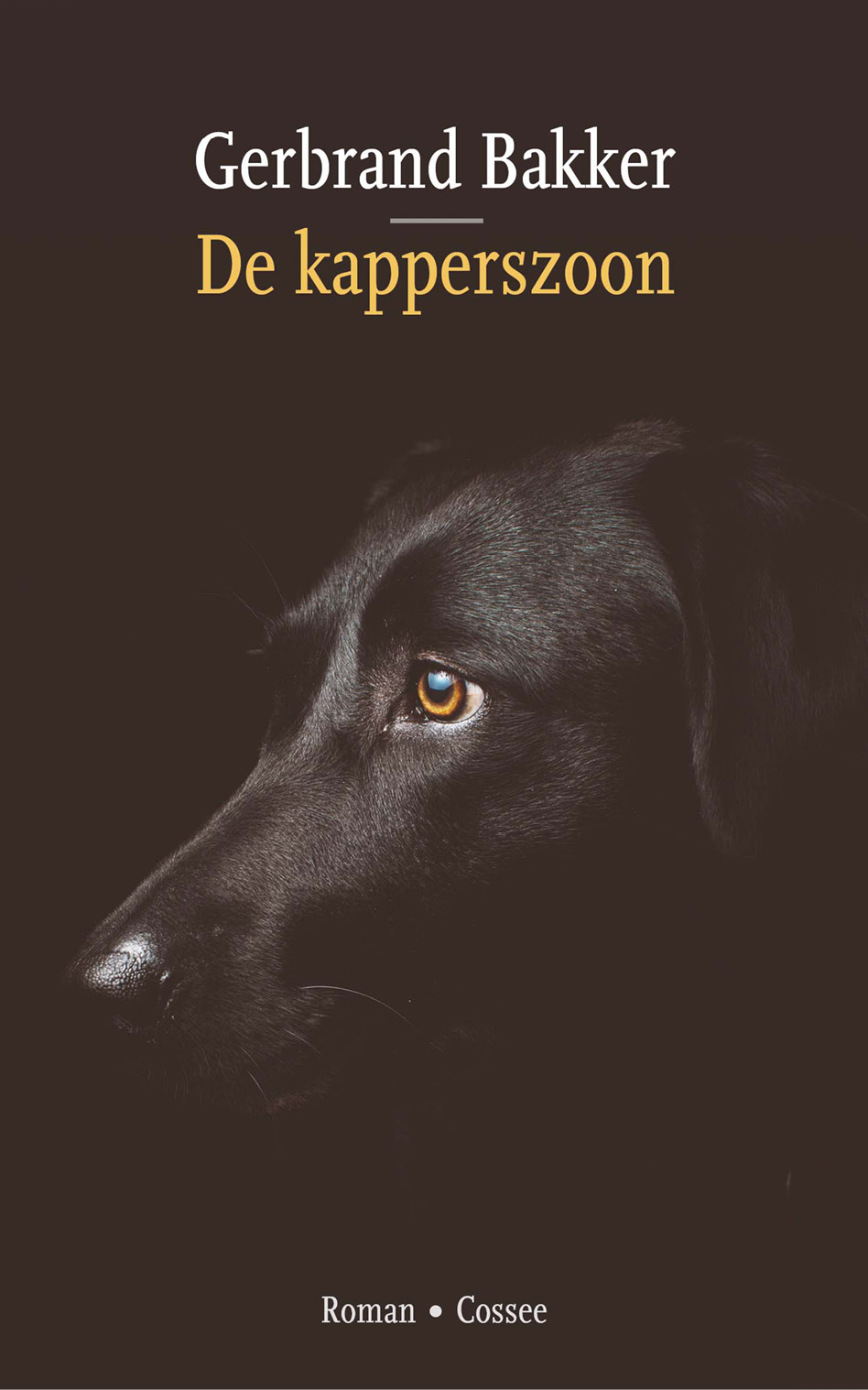 De kapperszoon