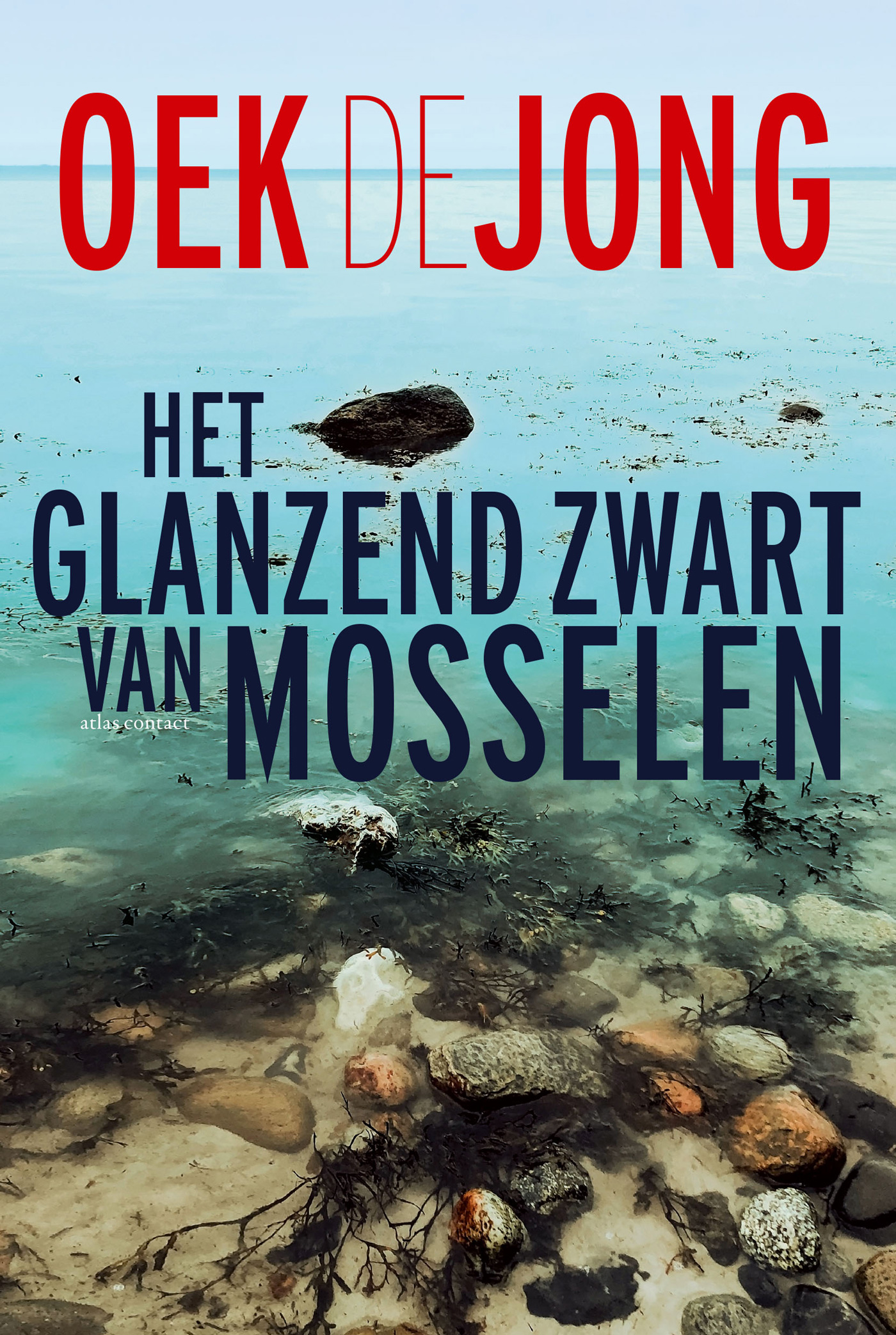 Het glanzend zwart van mosselen