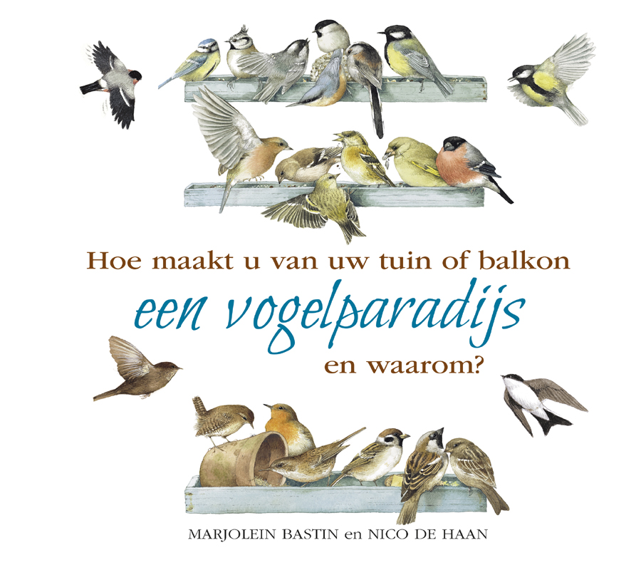 Hoe maakt u van uw tuin of balkon een vogelparadijs