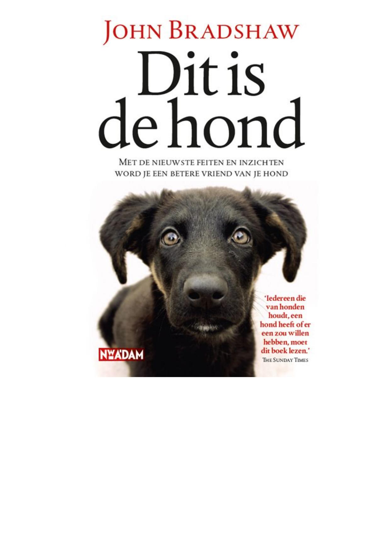 Dit is de hond