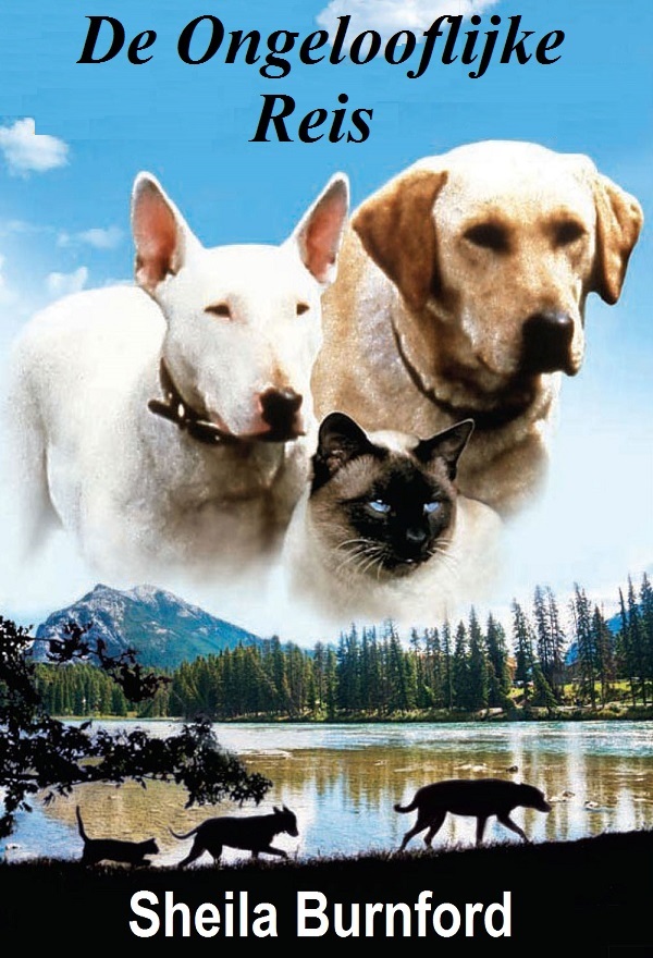 De ongelooflijke reis