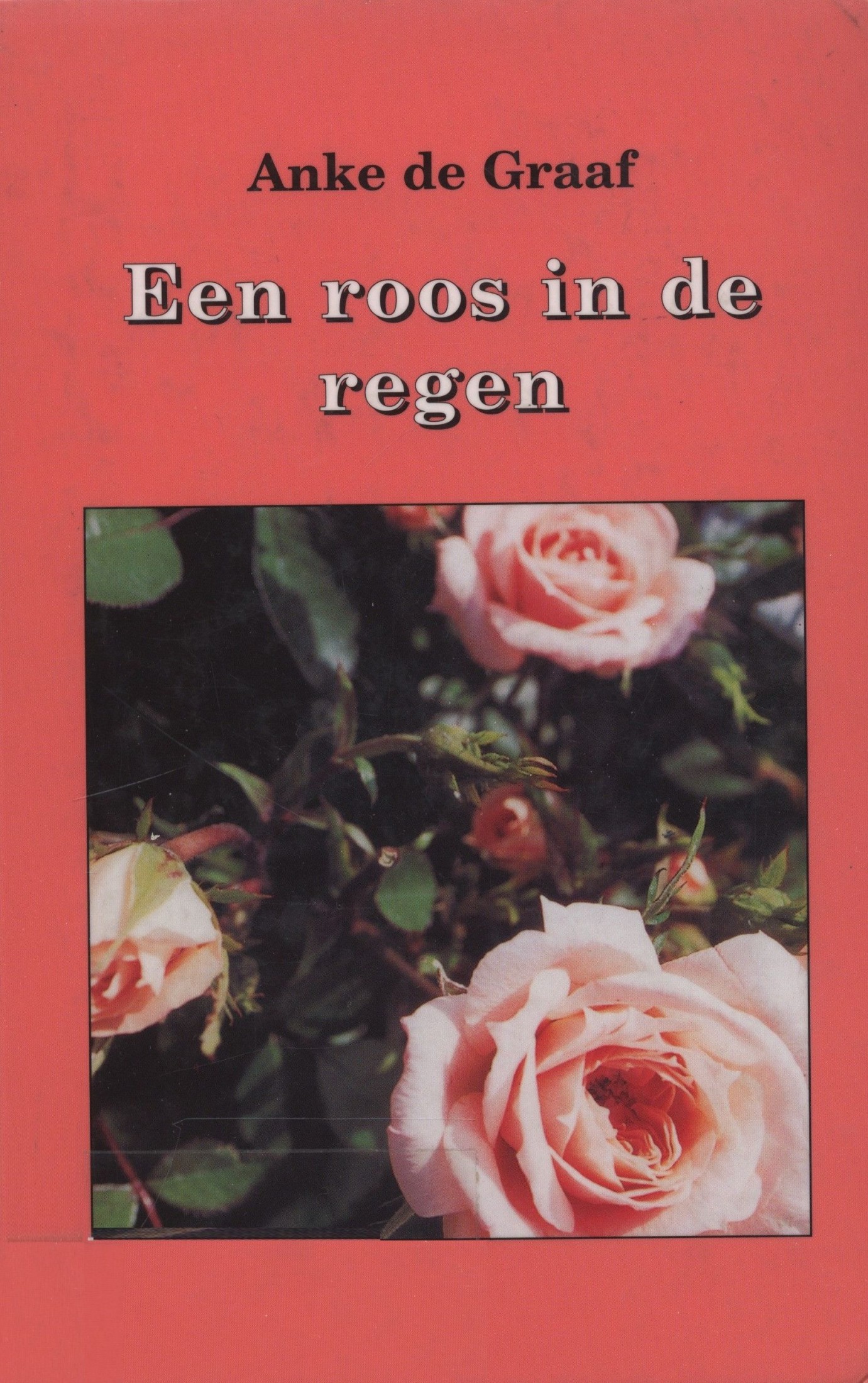 Een roos in de regen