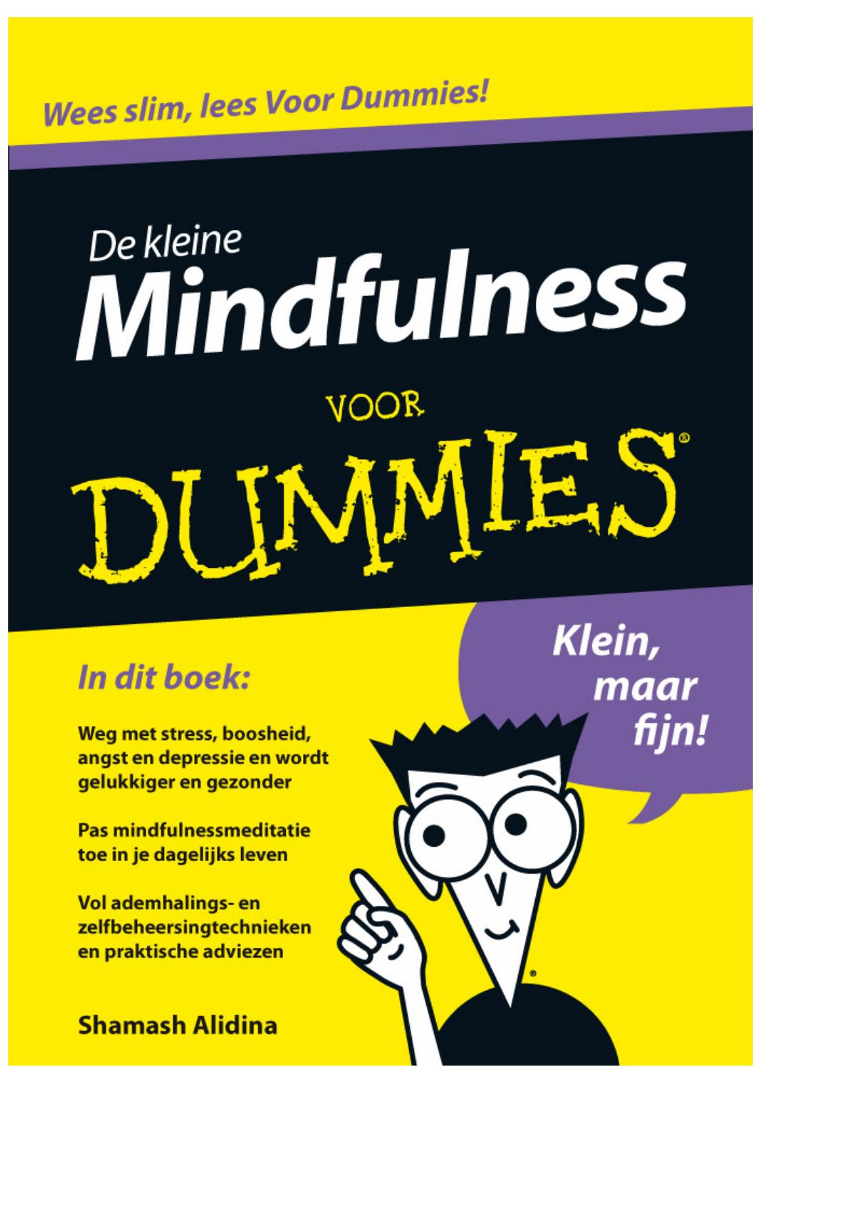 De kleine mindfulness voor dummies