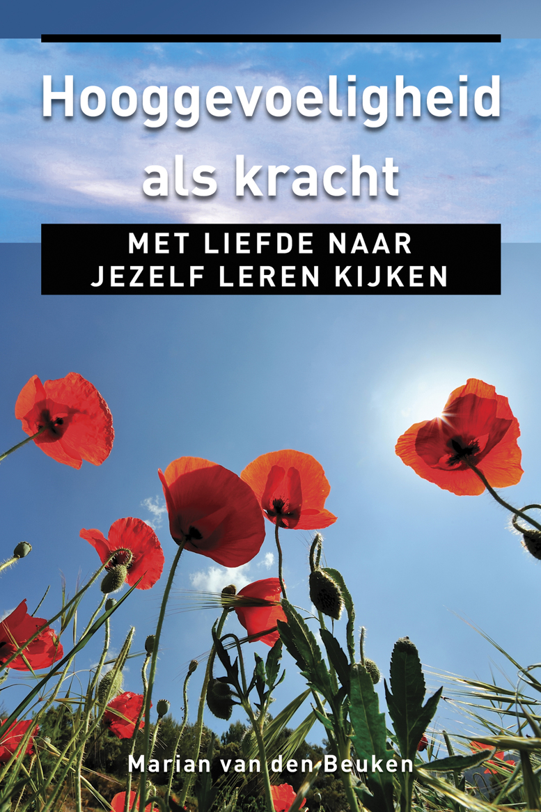 Hooggevoeligheid als kracht