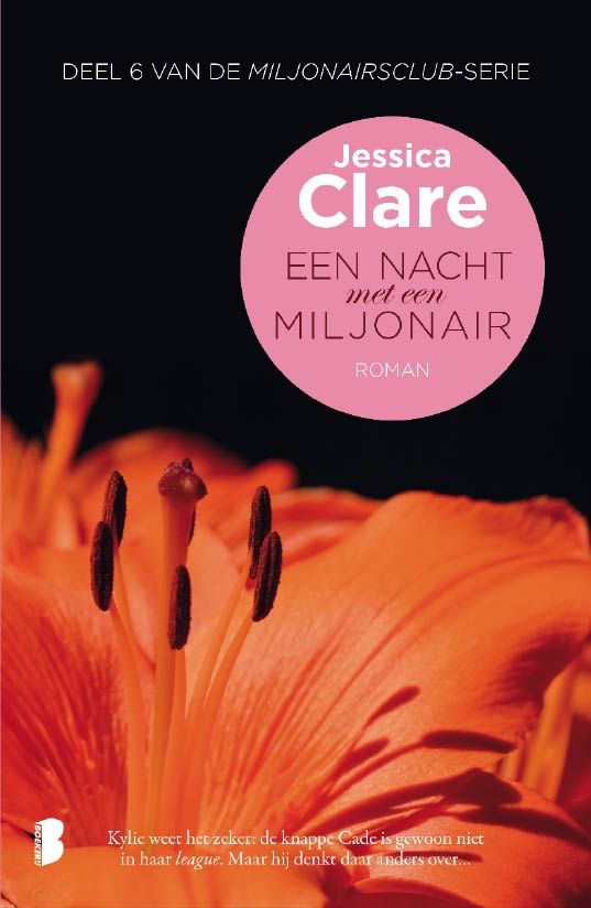 Een nacht met een miljonair