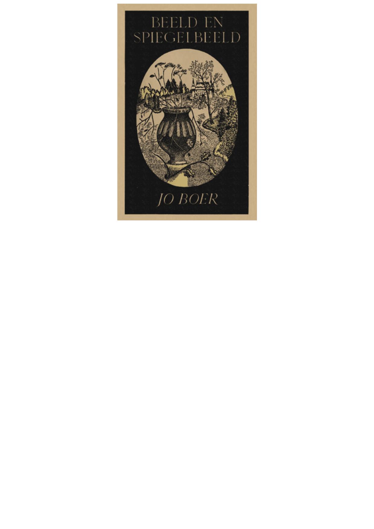 Beeld en spiegelbeeld