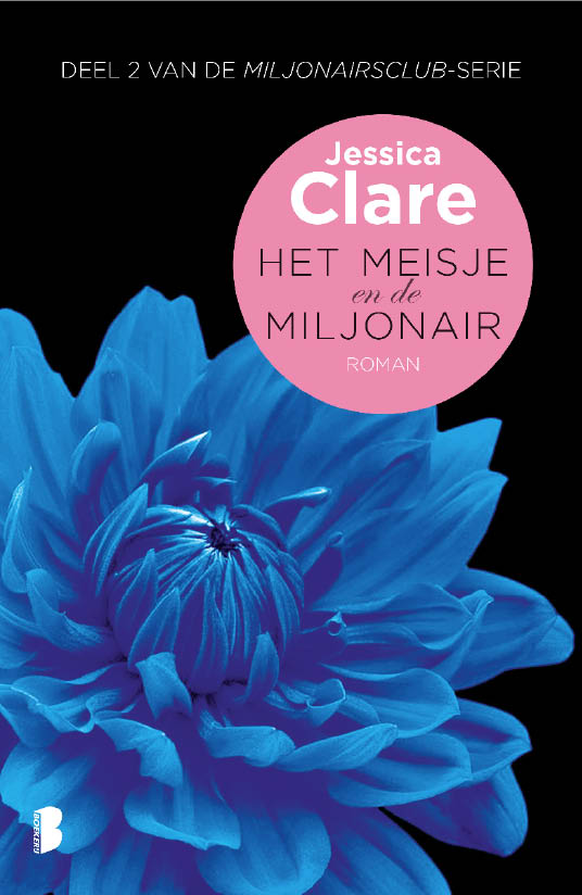 Het meisje en de miljonair