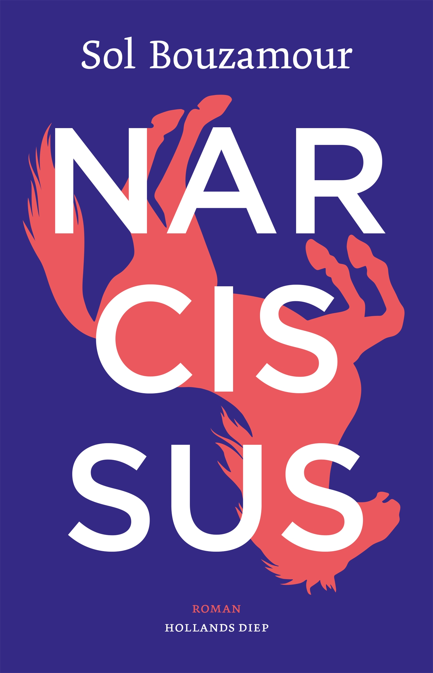 Narcissus