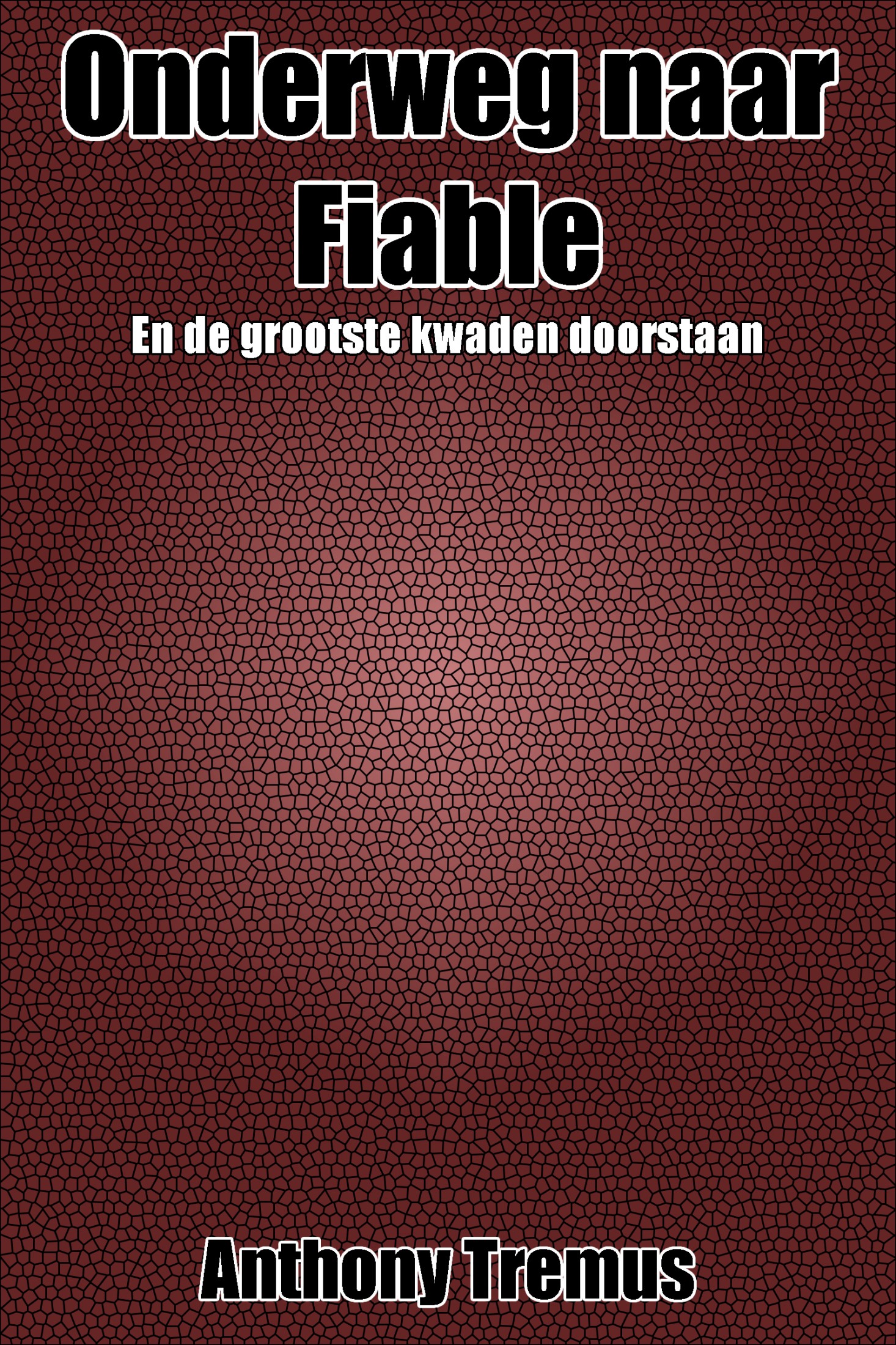 Onderweg naar Fiable