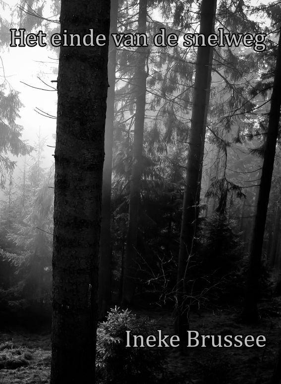 Het einde van de snelweg