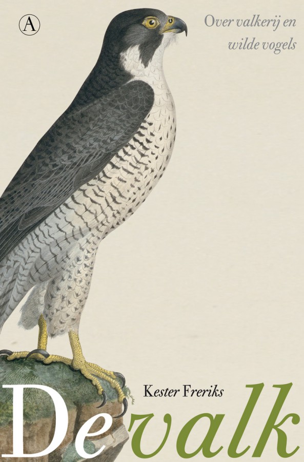 De valk