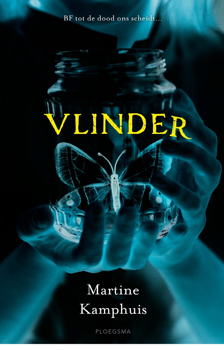 Vlinder