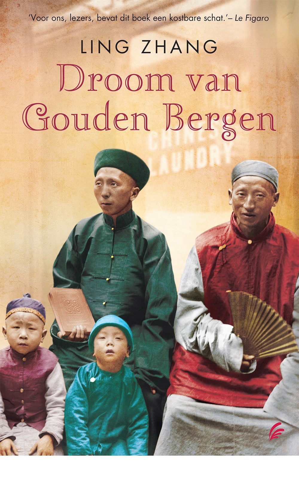 Droom van gouden bergen