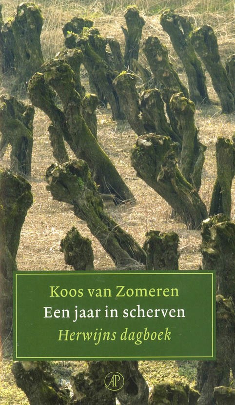 Een jaar in scherven