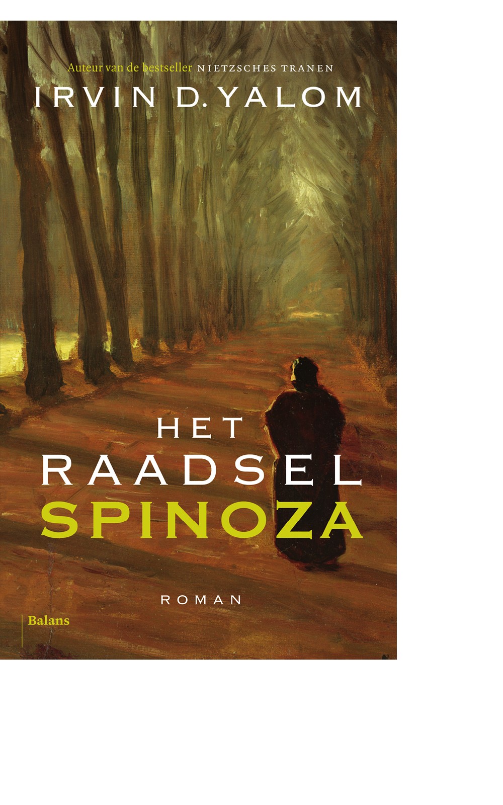 Het raadsel Spinoza