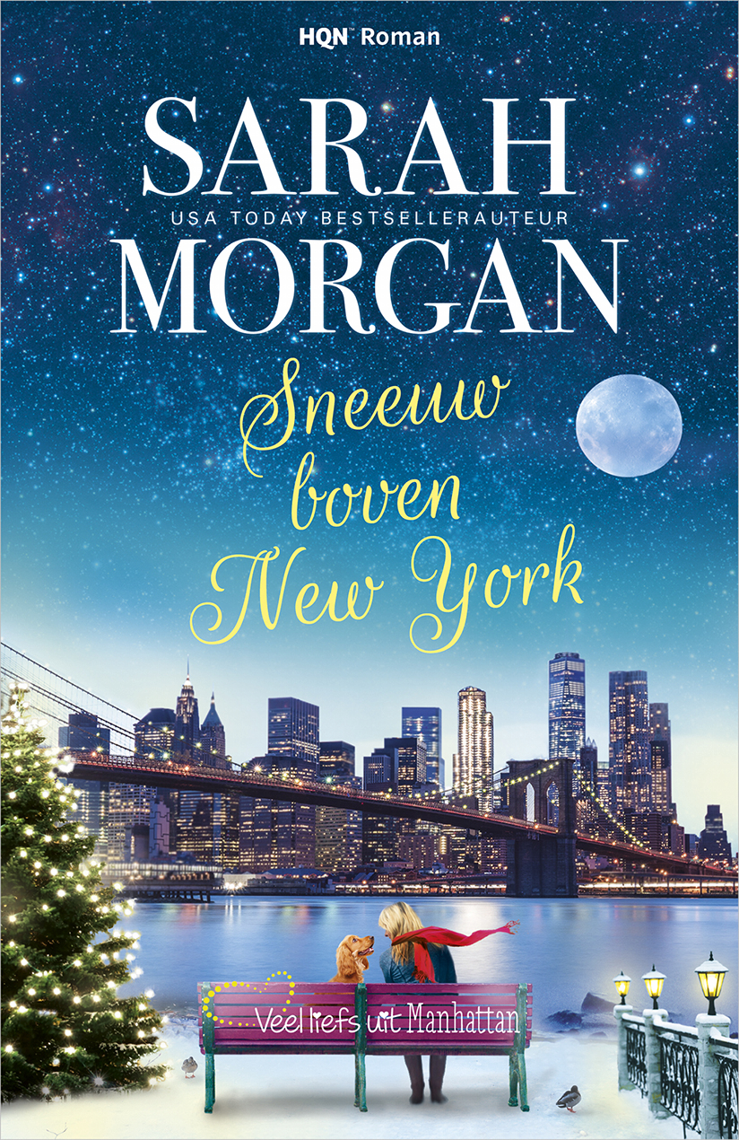 Sneeuw boven New York