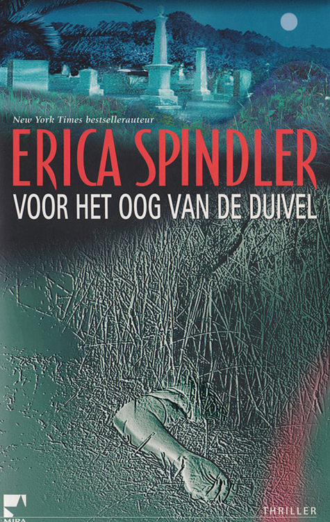 Voor het oog van de duivel