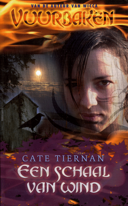 Vuurbaken 1 - Een schaal van wind