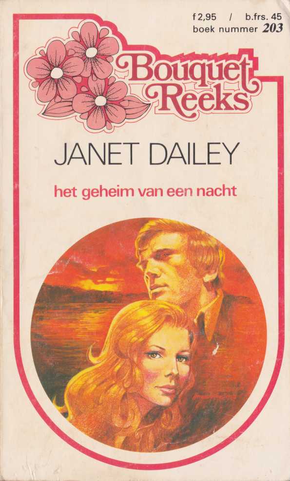 Het geheim van een nacht