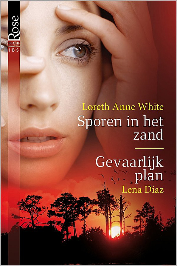 Sporen in het zand, Gevaarlijk plan