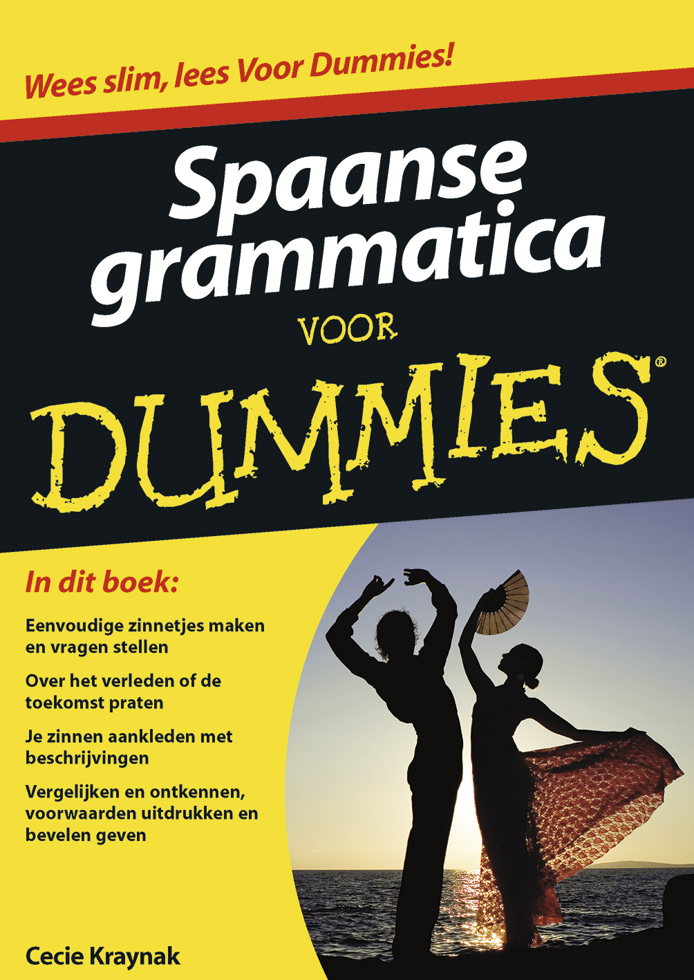 Spaanse grammatica voor Dummies