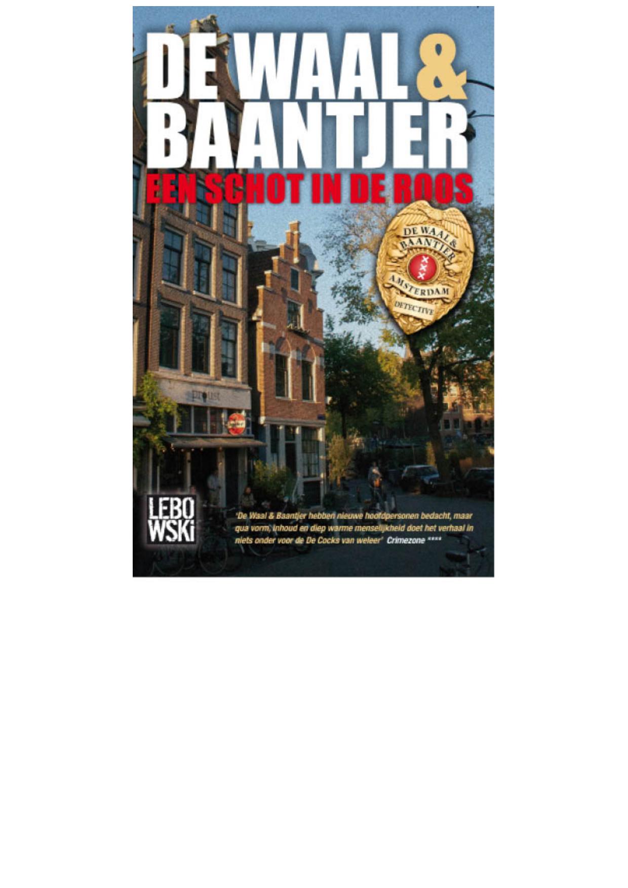 Een schot in de roos