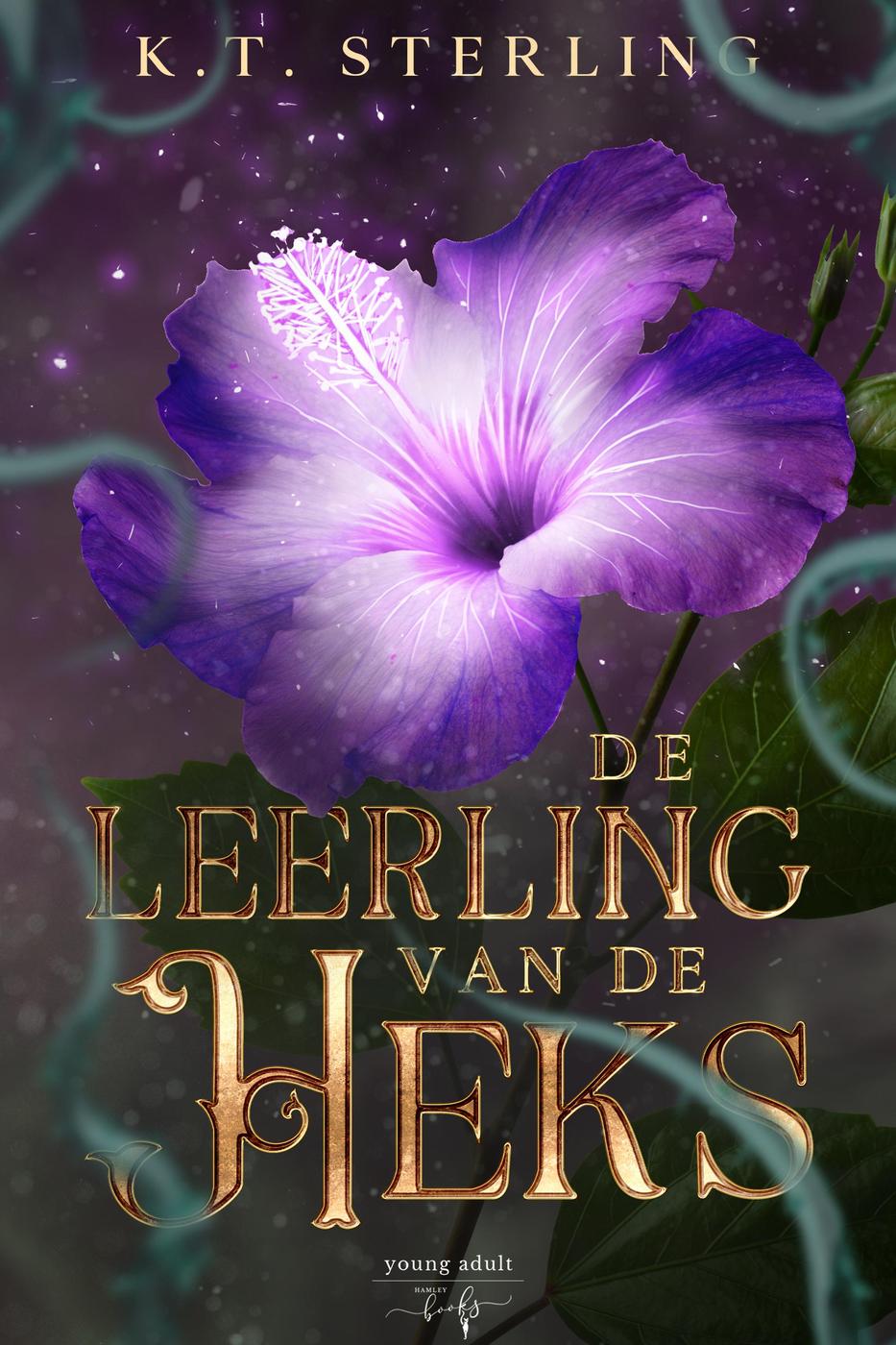 De leerling van de heks