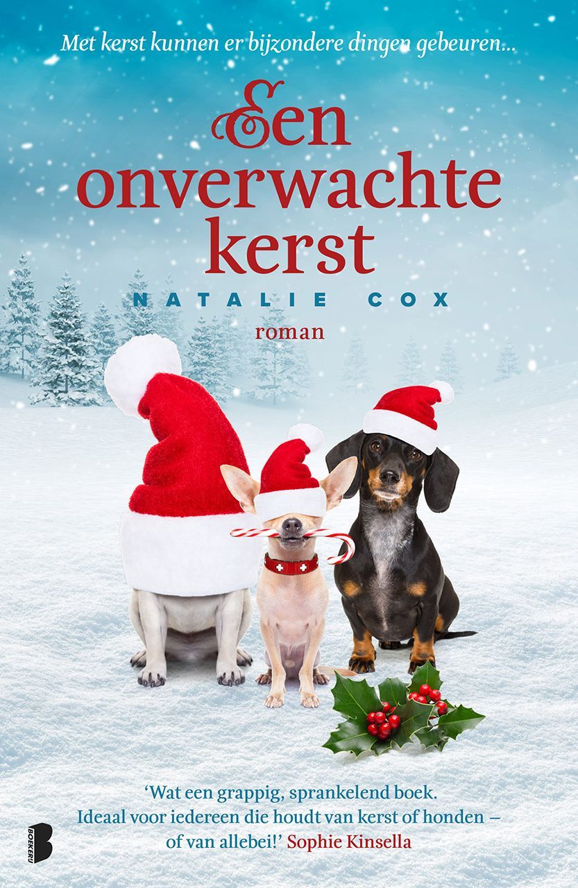 Een onverwachte kerst