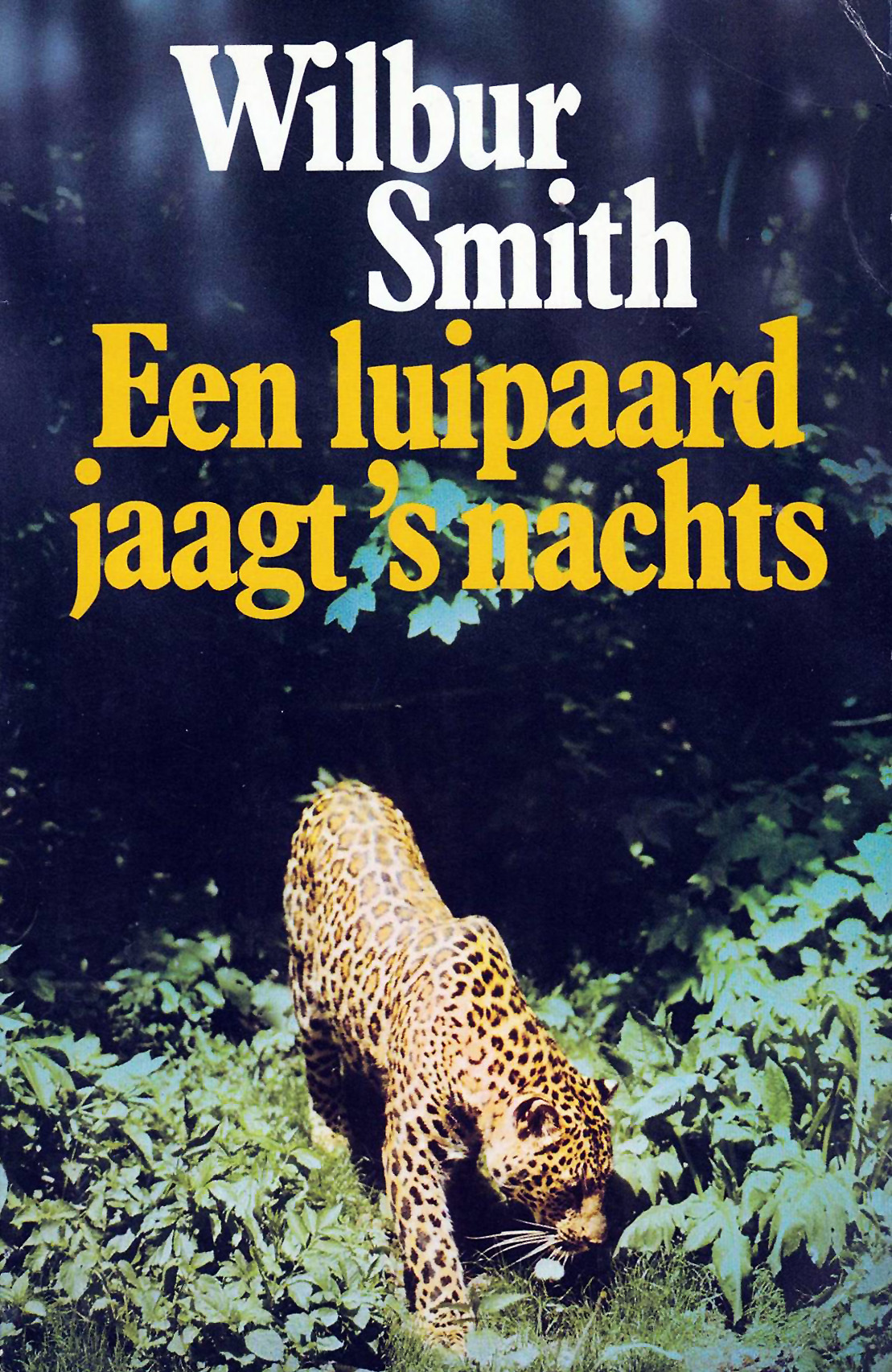 Een luipaard jaagt 's nachts
