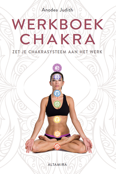 Werkboek chakra's