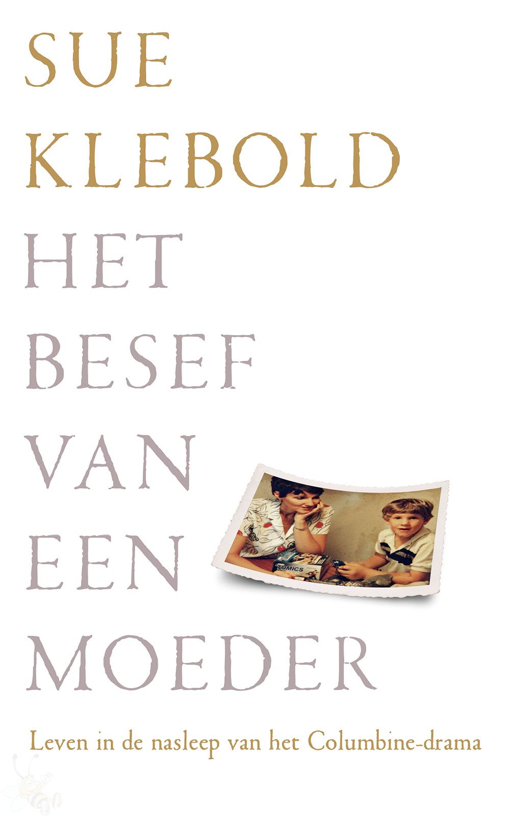 Het besef van een moeder