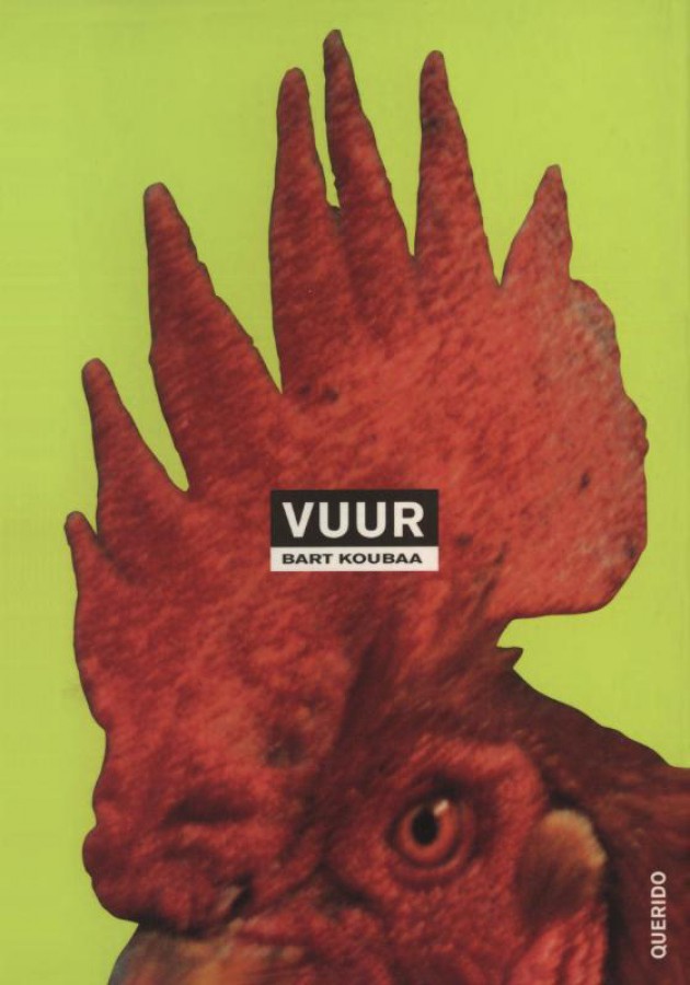 Vuur