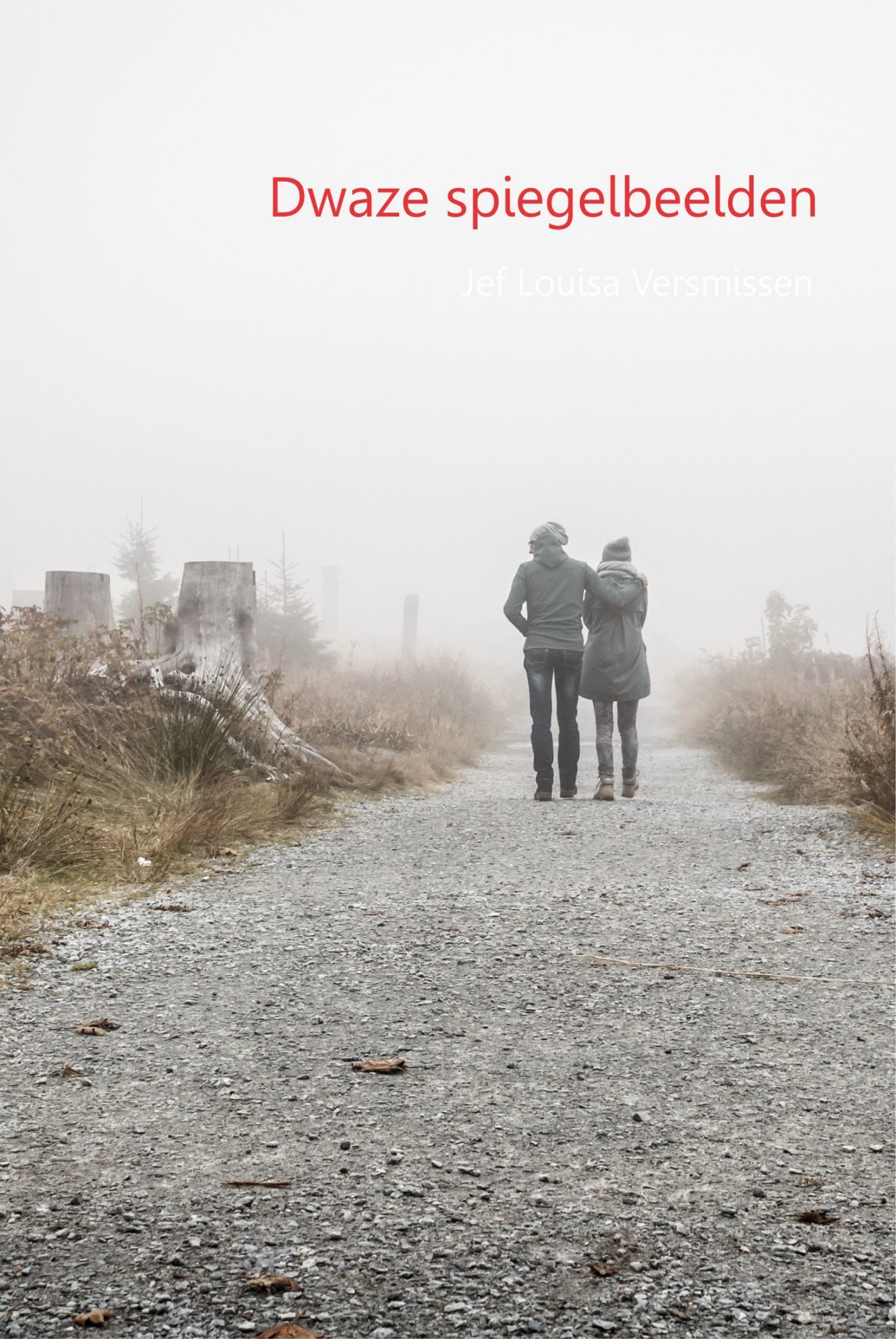 Dwaze spiegelbeelden